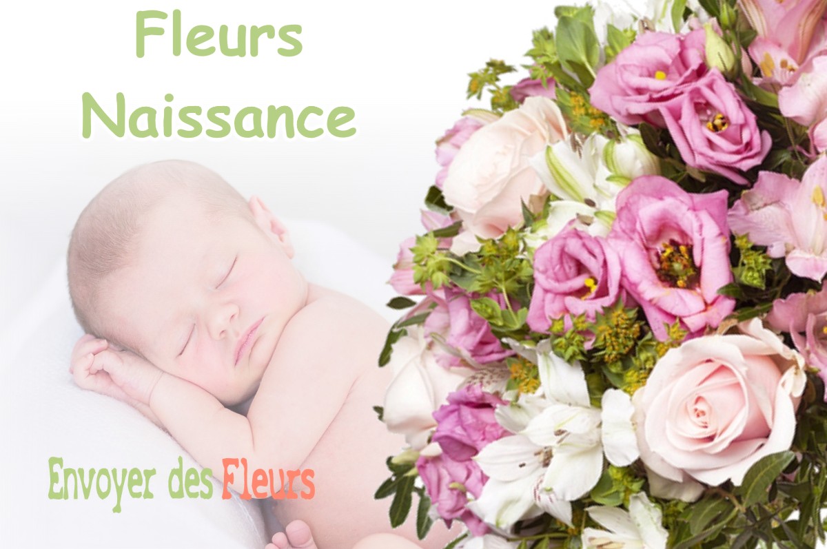 lIVRAISON FLEURS NAISSANCE à EVANS